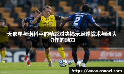 天狼星与诺科平的精彩对决揭示足球战术与团队协作的魅力