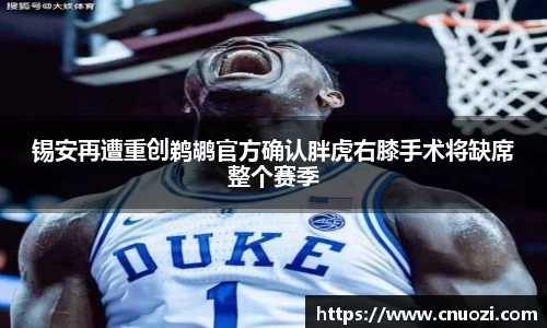 锡安再遭重创鹈鹕官方确认胖虎右膝手术将缺席整个赛季