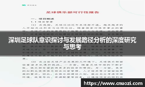 深圳足球队意识探讨与发展路径分析的深度研究与思考